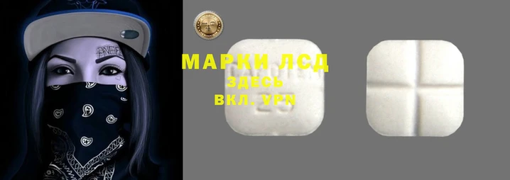 PSILOCYBIN Нея