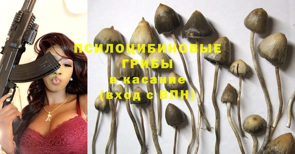 PSILOCYBIN Нея