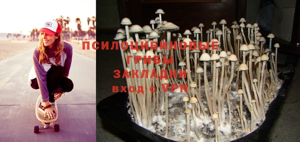 PSILOCYBIN Нея