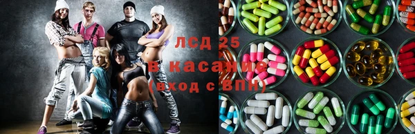 сатива Нефтекумск