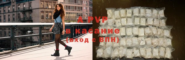 сатива Нефтекумск