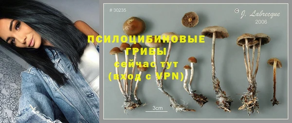 a pvp Нефтегорск