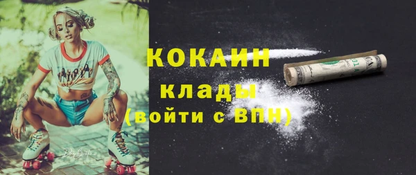 сатива Нефтекумск