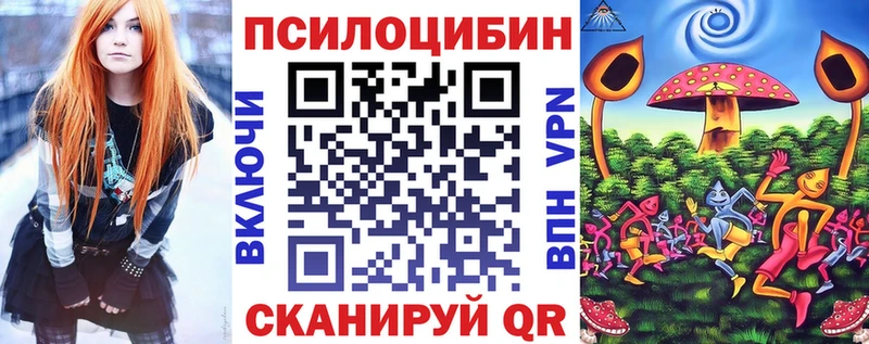 купить наркотик  Хадыженск  Псилоцибиновые грибы Psilocybine cubensis 